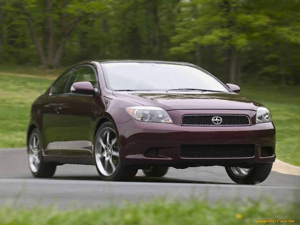 , scion